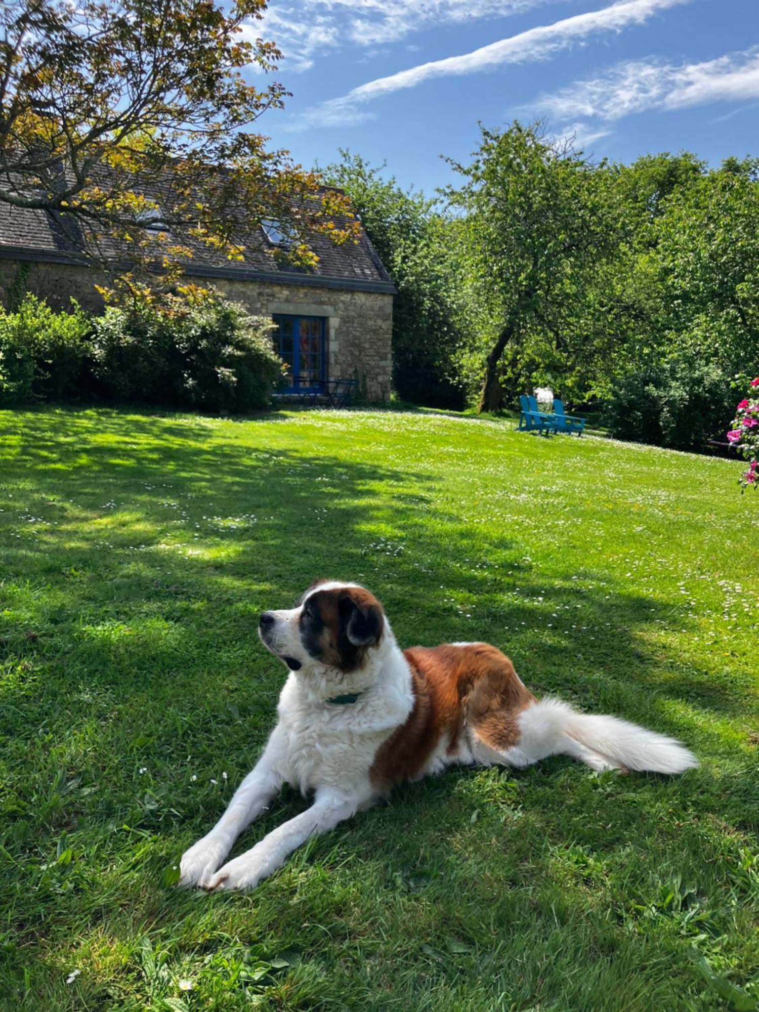 Bono ア クエット Bed & Breakfast エクステリア 写真